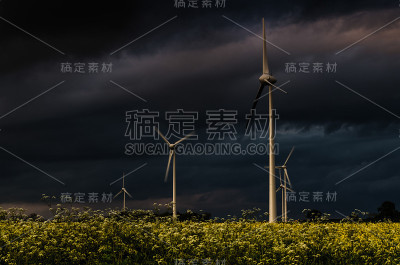 油菜田中的风力涡轮机