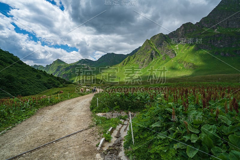 阿尔卑斯山在瑞士南部的皮奥拉全景在夏天的时间