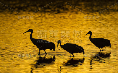 起重机和日出