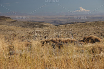 Lanin火山