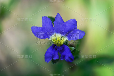 转储是
