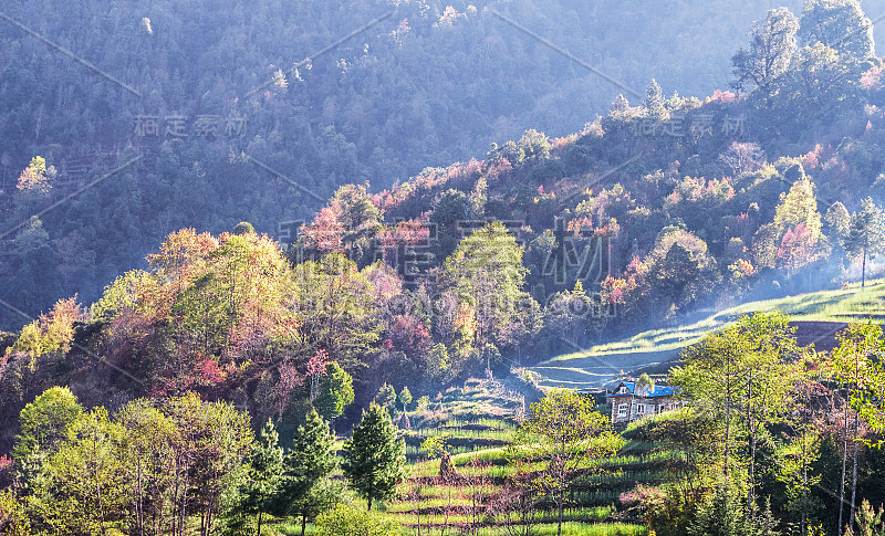 日出喜马拉雅山脉房屋农业梯田