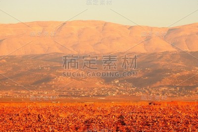 场