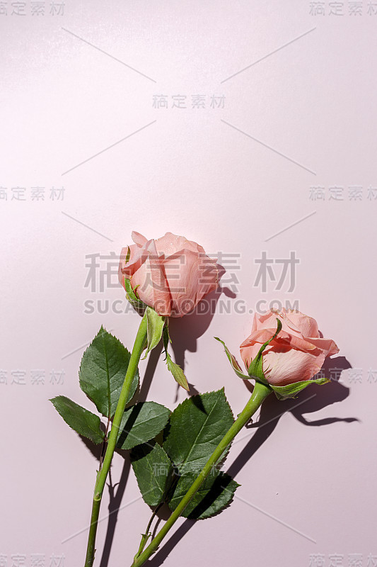 美丽的春花花束