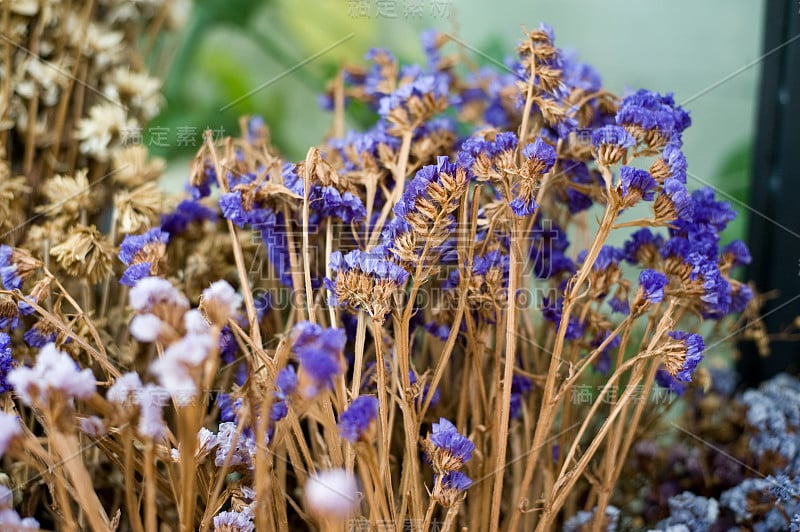 家中花园里花瓶或花盆中的干叶枝花是室内设计的复古风格