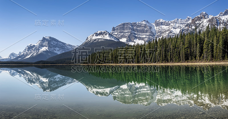 全景式的帕特森山，反映在下水鸟湖，冰原公园路，班夫国家公园，阿尔伯塔，加拿大