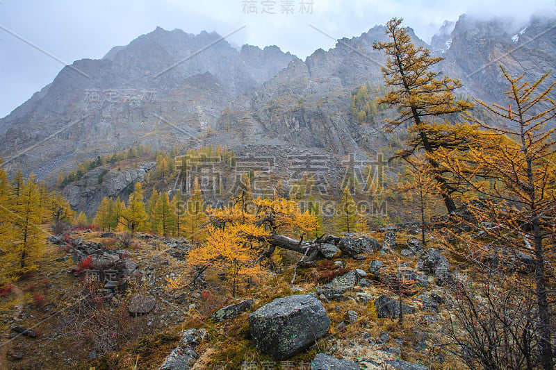 阿尔泰山脉