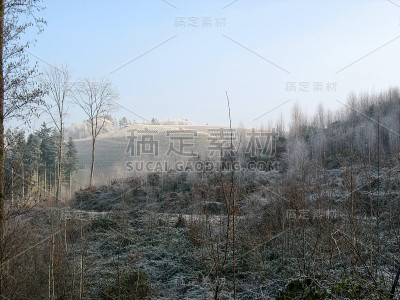 冬天的树林和乡村