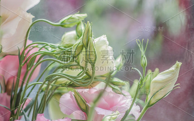 在剧场包厢里