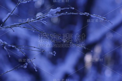我家附近下雪了
