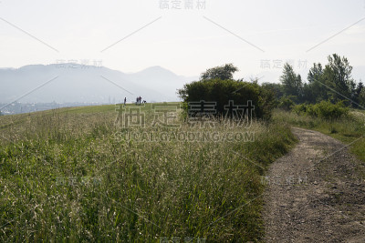 人们和狗在草地上。