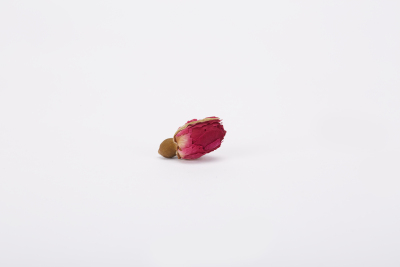 植物系列写实玫瑰花茶