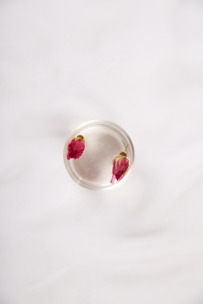 饮品系列写实冲饮花茶