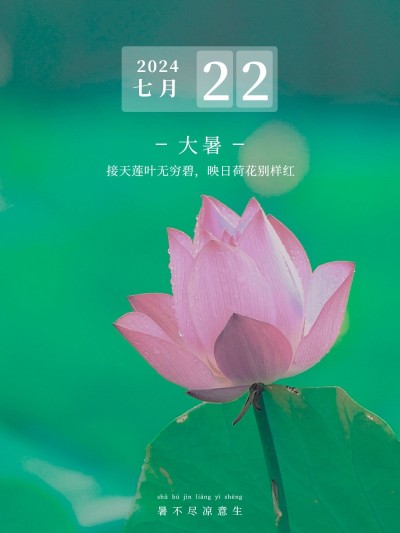 夏日节气大暑风景晒花简约风plog模板