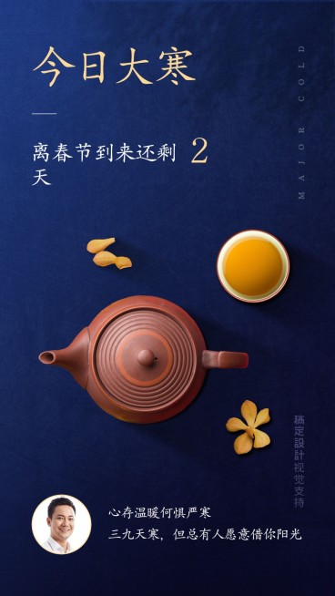 传统节气问候祝福宣传海报预览效果