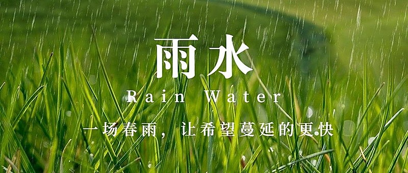 雨水节气万物春季落雨公众号首图