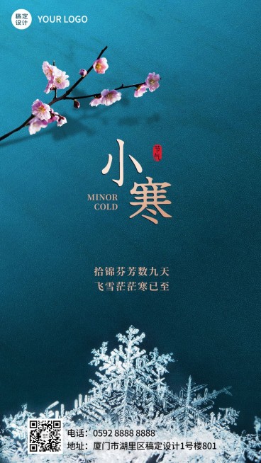 小寒节气祝福冬日冰霜手机海报预览效果
