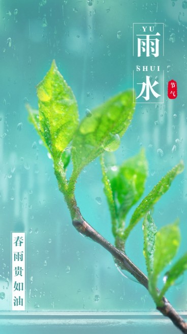 雨水节气祝福实景植物清新预览效果