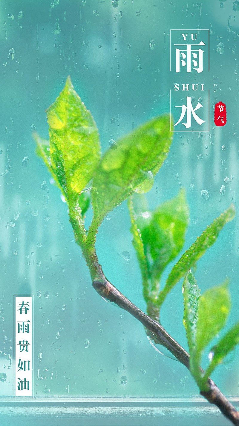 雨水节气祝福实景植物清新