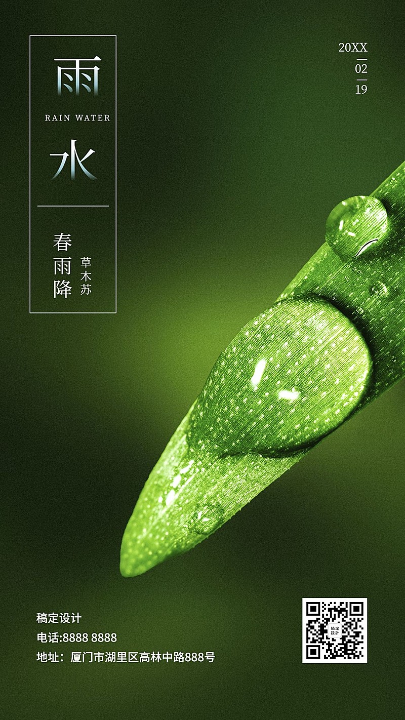 雨水节气问候实景清新手机海报