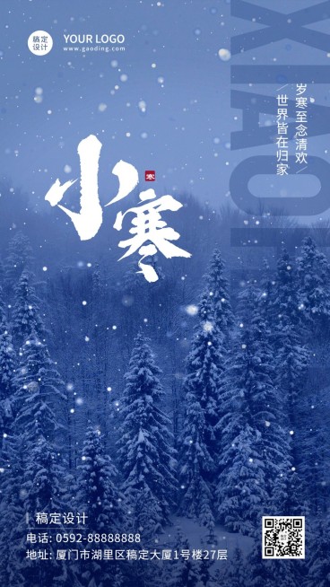 小寒节气祝福实景雪花冰霜手机海报预览效果