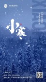 模板缩略图