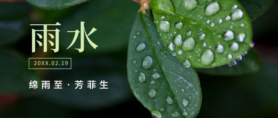 雨水节气祝福公众号首图实景水滴