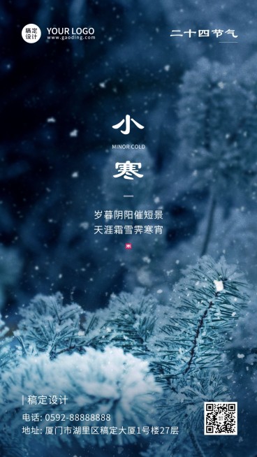 小寒节日祝福冰霜冬日手机海报预览效果