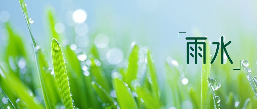 雨水节气问候祝福简约公众号首图预览效果