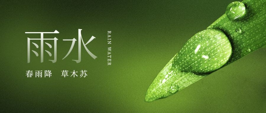 雨水节气雨滴露水实景公众号首图预览效果