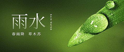 雨水节气雨滴露水实景公众号首图