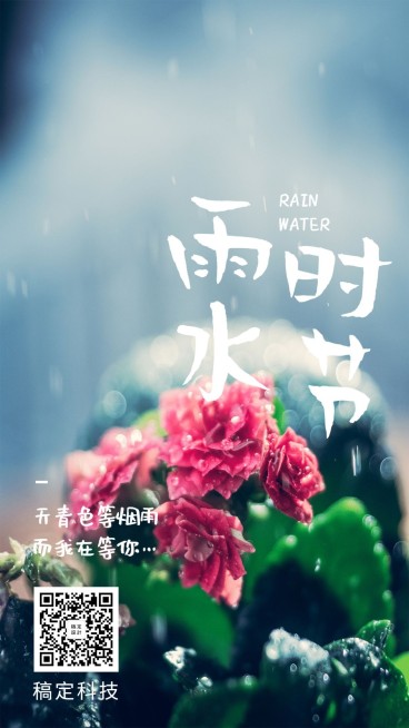 雨水时节二十四节气手机海报预览效果