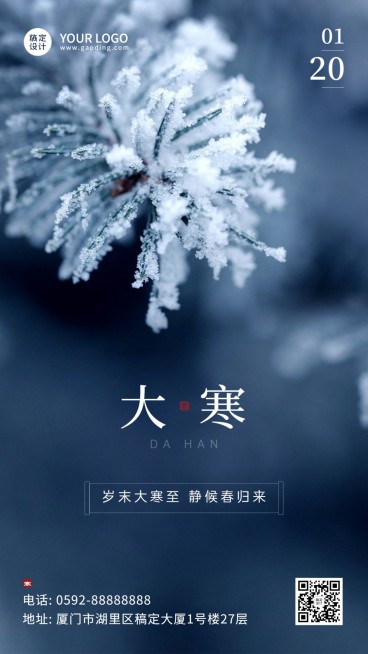 大寒节气树枝雪花实景特写祝福手机海报预览效果