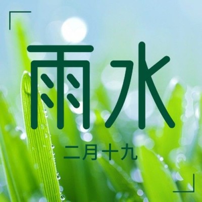 雨水节气春天落雨实景公众号次图