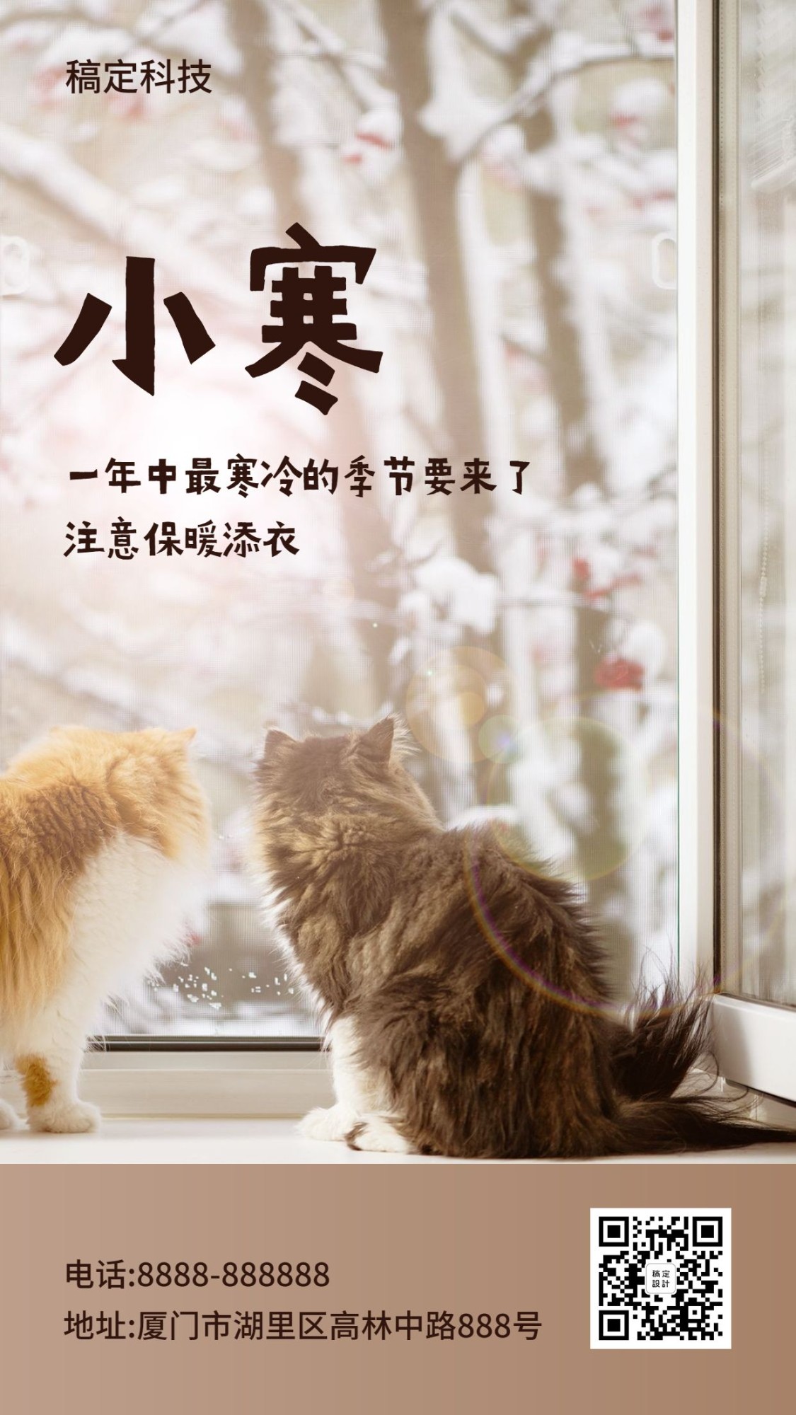 小寒实景宠物猫咪可爱温馨氛围手机海报