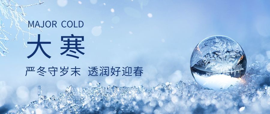  大寒节气树枝雾凇雪花祝福公众号首图预览效果