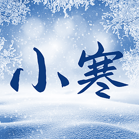 小寒节气祝福雪花实景公众号次图