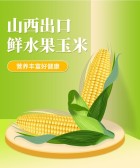 模板缩略图