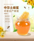 模板缩略图