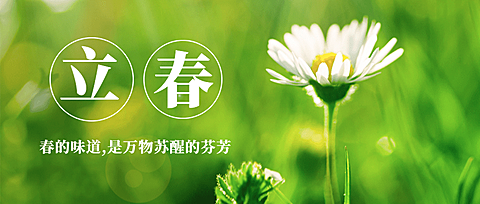 立春问候春天鲜花简约公众号首图
