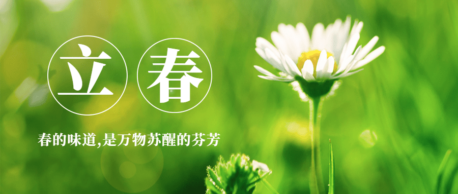 立春问候春天鲜花简约公众号首图