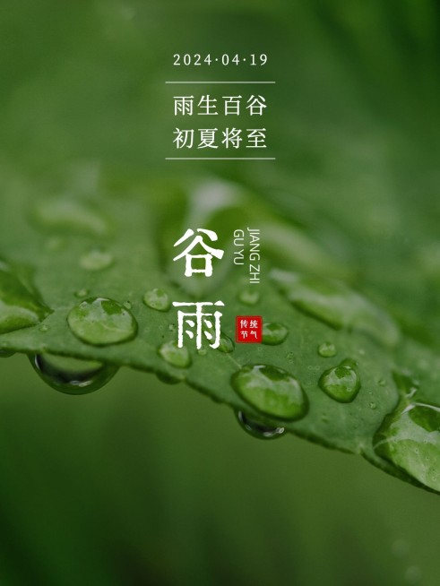 谷雨节日祝福简约风plog模板预览效果