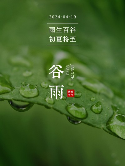 谷雨节日祝福简约风plog模板