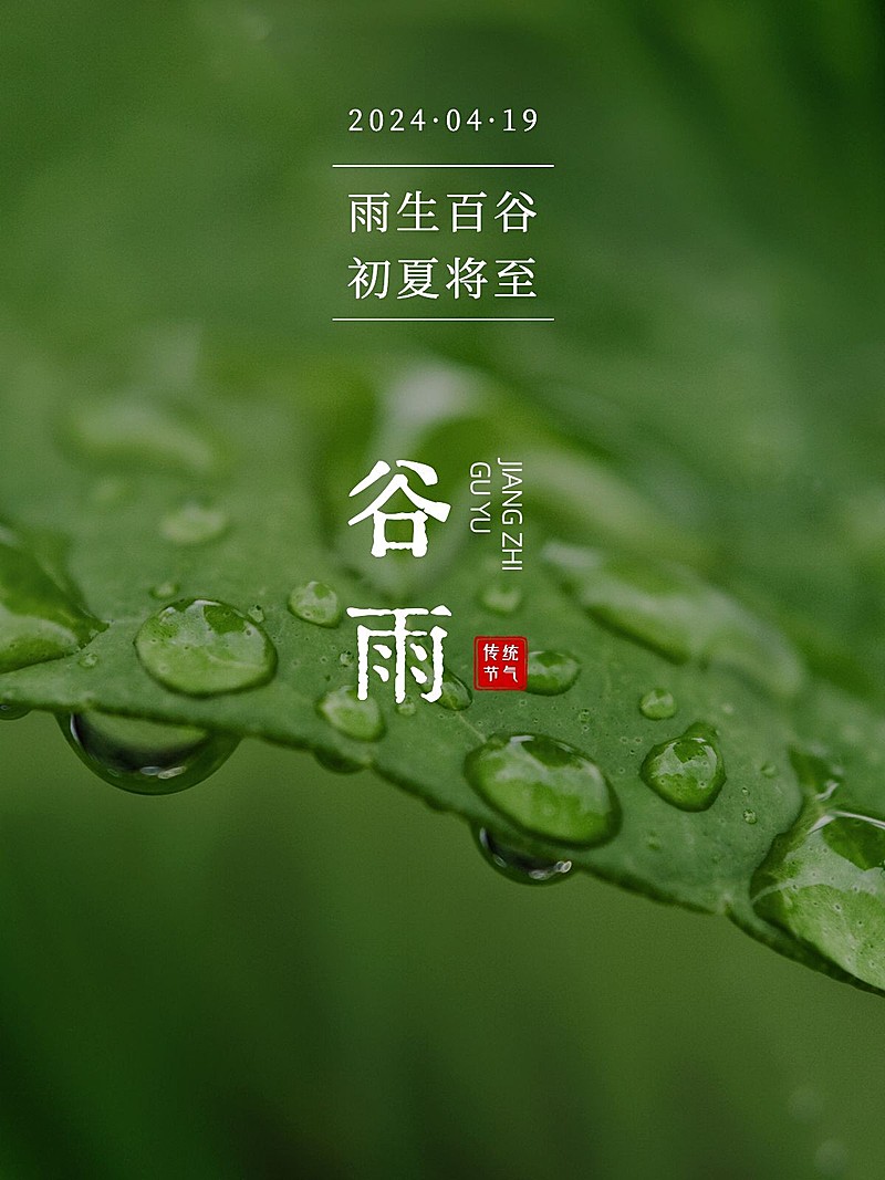 谷雨节日祝福简约风plog模板