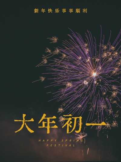 春节晒图春节祝福新年祝福过年大年初一plog模板