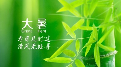 大暑节气祝福实景莲花横版海报