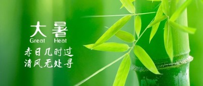 大暑节气祝福实景莲花公众号首图