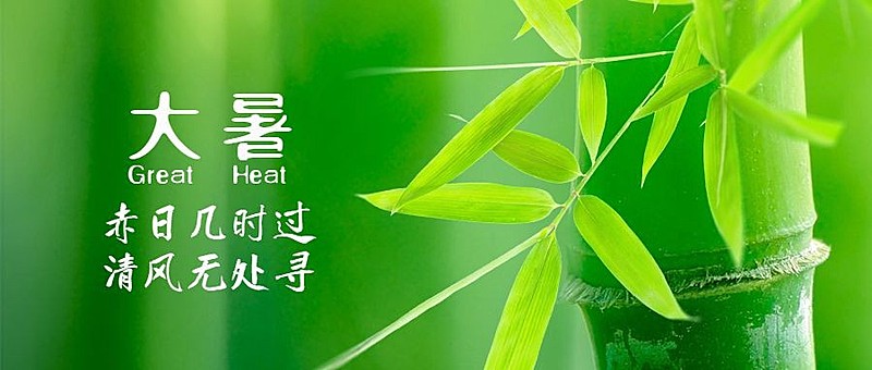 大暑节气祝福实景莲花公众号首图