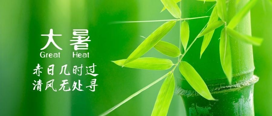大暑节气祝福实景莲花公众号首图