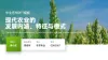 绿色简约ppt
